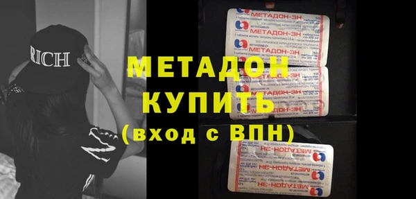 прущие грибы Нестеровская