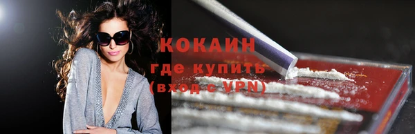молекула духа Каменка