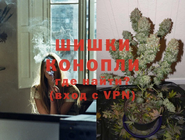 молекула духа Каменка