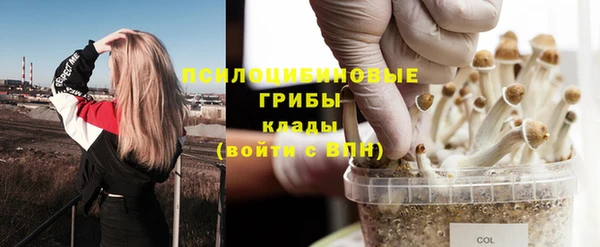дживик Каменногорск