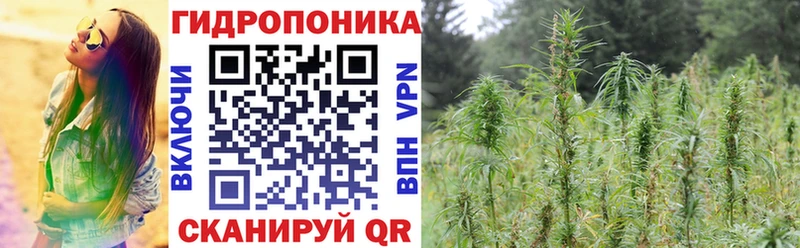 Бошки марихуана семена Меленки